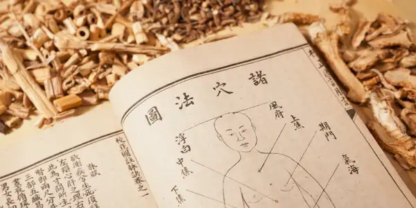 Berücksichtigung des gesamten Menschen in der traditionellen chinesischen Medizin